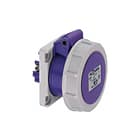 ABL - Connectivity CEE-contactdoos, aanbouw Cee Abcds 2P 16A 24V Ip67
