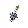 Miniatuur 1