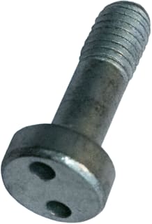 Bailey - Antidiefstalschroef Pig Nose Schroef M5 316