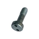 Bailey - Antidiefstalschroef Pig Nose Schroef M5 316