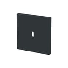 ABB Busch-Jaeger - Future, Axcent, Carat Inzetplaat schakelmateriaal  cpl usbc 65w voed f-ant