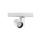 Concord - Downlight/spot/schijnwerper dwnlght 3k- i97 wb ls3 wt