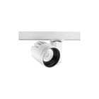 Concord - Downlight/spot/schijnwerper dwlgt xl 4k-i97 mb ls3 wt