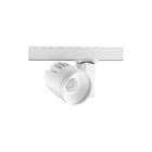 Concord - Downlight/spot/schijnwerper dwlgt xl onb 3k mb ls3 wt