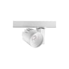 Concord - Downlight/spot/schijnwerper dwlgt xl onb 3k wb ls3 wt