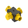 Miniatuur 1