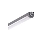 Trilux - Deveo Fit Plafond-/wandarmatuur Opb.Arm Ip66