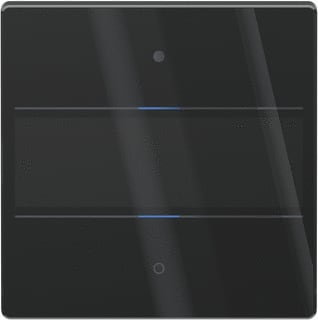 Theben - Tastsensor bussysteem luxorliv tastsens glas 2