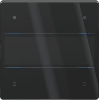 Theben - Tastsensor bussysteem luxorliv tastsens glas 4