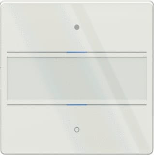 Theben - Tastsensor bussysteem knx tastsens glas 2 toets