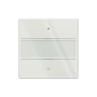 Theben - Tastsensor bussysteem knx tastsens glas 2 toets