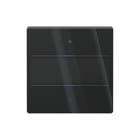 Theben - Tastsensor bussysteem knx tastsens glas 2 toets