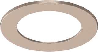 Philips - Ledinaire Mech. toebeh. verlichtingsarmatuur Rs071B Trim Accessory Gd