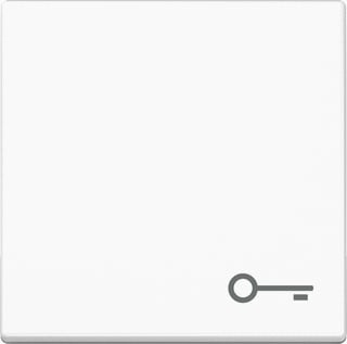 Technische Unie - 2V WCD JUNG AS 500 ADELS BW