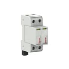 Raycap - ProTec Netoverspanningsbeveiliging t2h-300-2+0-r