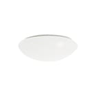 Regiolux - Plafond-/wandarmatuur 25316144111