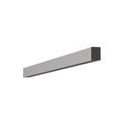 Regiolux - Plafond-/wandarmatuur 60642036675