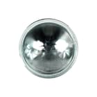 Bailey - Studio-, projectie- en fotolamp Par36 12V 50W Screw Nsp