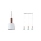 Paulmann - Neordic Haldar Pendelarmatuur pendelarm haldar 3x20w wi