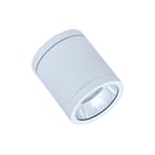 Ledvance - Downlight Surface Downlight/spot/schijnwerper Downl S90 15W 840 36D W