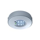 Eaton Blessing - RoundTech Noodverlichtingsarmatuur Nood Rt2Sseo200Cgl3Hip