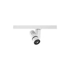 Concord - Downlight/spot/schijnwerper beac gob ob 3000k 3cir w