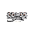 Wago - TOPJOB S 2204 Verbindingsrijgklem 4Dr Klem Kn 4Mm2 Test Gr