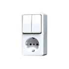 Jung - AP600 Combinatie schakelaar/wcd Combi Ra Awit