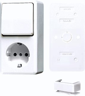 Jung - AP600 Combinatie schakelaar/wcd Combiwissel Ra Awit