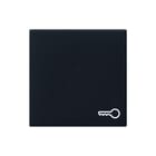 Gira - Systeem 55 OUD Bed.element / centr.pl. schakelmat. Wip M Sleut Zzm