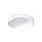 Norton - SQC-N LED Plafonniere Plafond-/wandarmatuur 83 850Lm D260