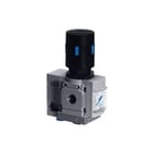 Festo - Reduceerventiel Ms6-Lrb-1/2-D7-As-Bd
