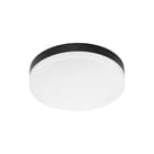 Norton - CRX Plafond-/wandarmatuur Mc 800-2200Lm Srn Zw