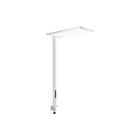 Trilux - Staande lamp 6000711658