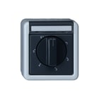 Gira - SW opbouw Timer voor schakelmateriaal Tijdsch 2P 360Min Tk Sw