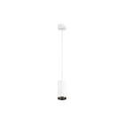 SLV - Numinos Pendelarmatuur pd phase m wi/zw 36gr 2700