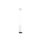 SLV - Numinos Pendelarmatuur pd phase l wi/zw 36gr 2700