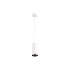 SLV - Numinos Pendelarmatuur pd phase l wi/zw 60gr 3k