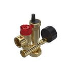 Raminex - Boileraansluitgroep veilghgrp 1"bi