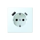 Jung - LS RANGE Wandcontactdoos (WCD schakelmat.) wcd ra+lad a+c s+ lc32024