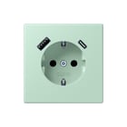 Jung - LS RANGE Wandcontactdoos (WCD schakelmat.) wcd ra+lad a+c s+ lc32042