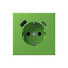 Jung - LS RANGE Wandcontactdoos (WCD schakelmat.) wcd ra+lad a+c s+ lc32051
