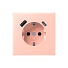 Jung - LS RANGE Wandcontactdoos (WCD schakelmat.) wcd ra+lad a+c s+ lc32112