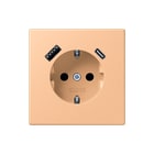 Jung - LS RANGE Wandcontactdoos (WCD schakelmat.) wcd ra+lad a+c s+ lc32122