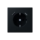 Jung - LS RANGE Wandcontactdoos (WCD schakelmat.) wcd ra+lad a+c s+ lc4320r