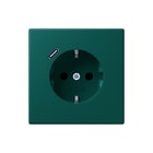 Jung - LS RANGE Wandcontactdoos (WCD schakelmat.) wcd ra+lad c s+ lc32040