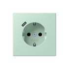 Jung - LS RANGE Wandcontactdoos (WCD schakelmat.) Wcd Ra+Lad C S+ Lc32042