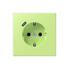 Jung - LS RANGE Wandcontactdoos (WCD schakelmat.) wcd ra+lad c s+ lc32053