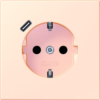 Jung - LS RANGE Wandcontactdoos (WCD schakelmat.) wcd ra+lad c s+ lc32082