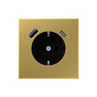 Jung - LS RANGE Wandcontactdoos (WCD schakelmat.) Wcd+Lad Messing Klas A+C